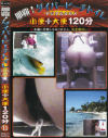 那覇ダイバービーチトイレ 小便＋大便120分 No11－-のパッケージ画像