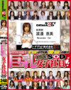 特選 SOD巨乳女子社員－-のパッケージ画像