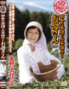 全国熟女捜索隊 田舎の茶畑でお茶摘みするお母さん－愛野主税のパッケージ画像