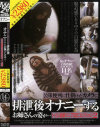 公衆便所に仕掛けたカメラに排泄オナニーするお姉さんの姿が No2－-のパッケージ画像