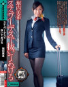 スチュワーデスで抜いてあげる 堀内美希－堀内美希のパッケージ画像