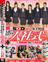 祝入社 2013年度 SOD新人女子社員 入社式＋はじめてのAV 業務体験に180分大赤面SP－-のパッケージ画像