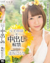 逢坂はるな SOD移籍×中出し解禁－逢坂はるなのパッケージ画像