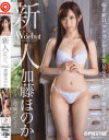 新人 プレステージ専属デビュー 加藤ほのか－加藤ほのかのパッケージ画像