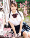 雨に濡れ透けた巨乳の妹に欲情した兄の近親相姦－沙月恵奈・姫咲はな・冨安れおなのパッケージ画像