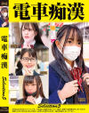 電車痴漢selection5－-のパッケージ画像