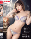 ULTRA HOT SEX 野々浦暖発蒸中。興奮は液体を超えてイく。 体の芯まで熱し合うHOTコア・ガズムの全て2－野々浦暖のパッケージ画像