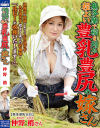 奥多摩で稲を刈る 程よい豊乳豊尻の嫁さん 仲野梢－仲野梢のパッケージ画像