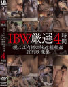 IBW厳選 親には内緒の妹近親相姦旅行映像集4時間－-のパッケージ画像