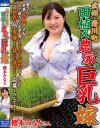 武州・滑川町 田植え農家の巨乳嫁 櫻木みなと－櫻木みなとのパッケージ画像