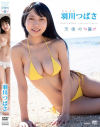 天使の翼 羽川つばさ－羽川つばさのパッケージ画像